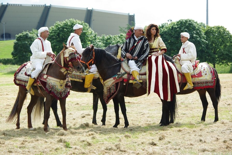 Le Moussem des Cultures 2008 174.jpg